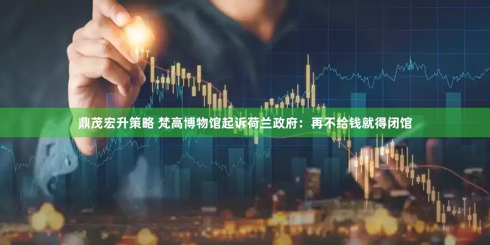 鼎茂宏升策略 梵高博物馆起诉荷兰政府：再不给钱就得闭馆