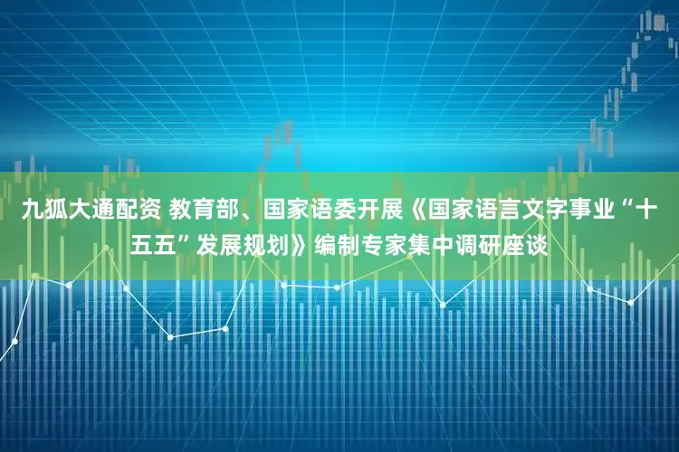九狐大通配资 教育部、国家语委开展《国家语言文字事业“十五五”发展规划》编制专家集中调研座谈