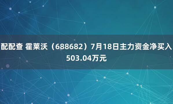 配配查 霍莱沃（688682）7月18日主力资金净买入503.04万元